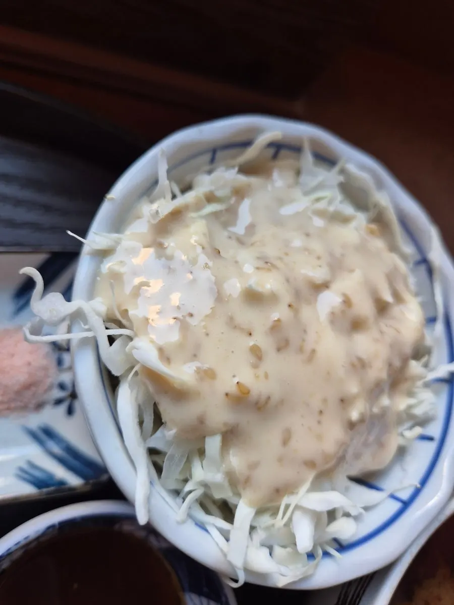 고체 연료로 가열되는 돌판과 이즈니버터