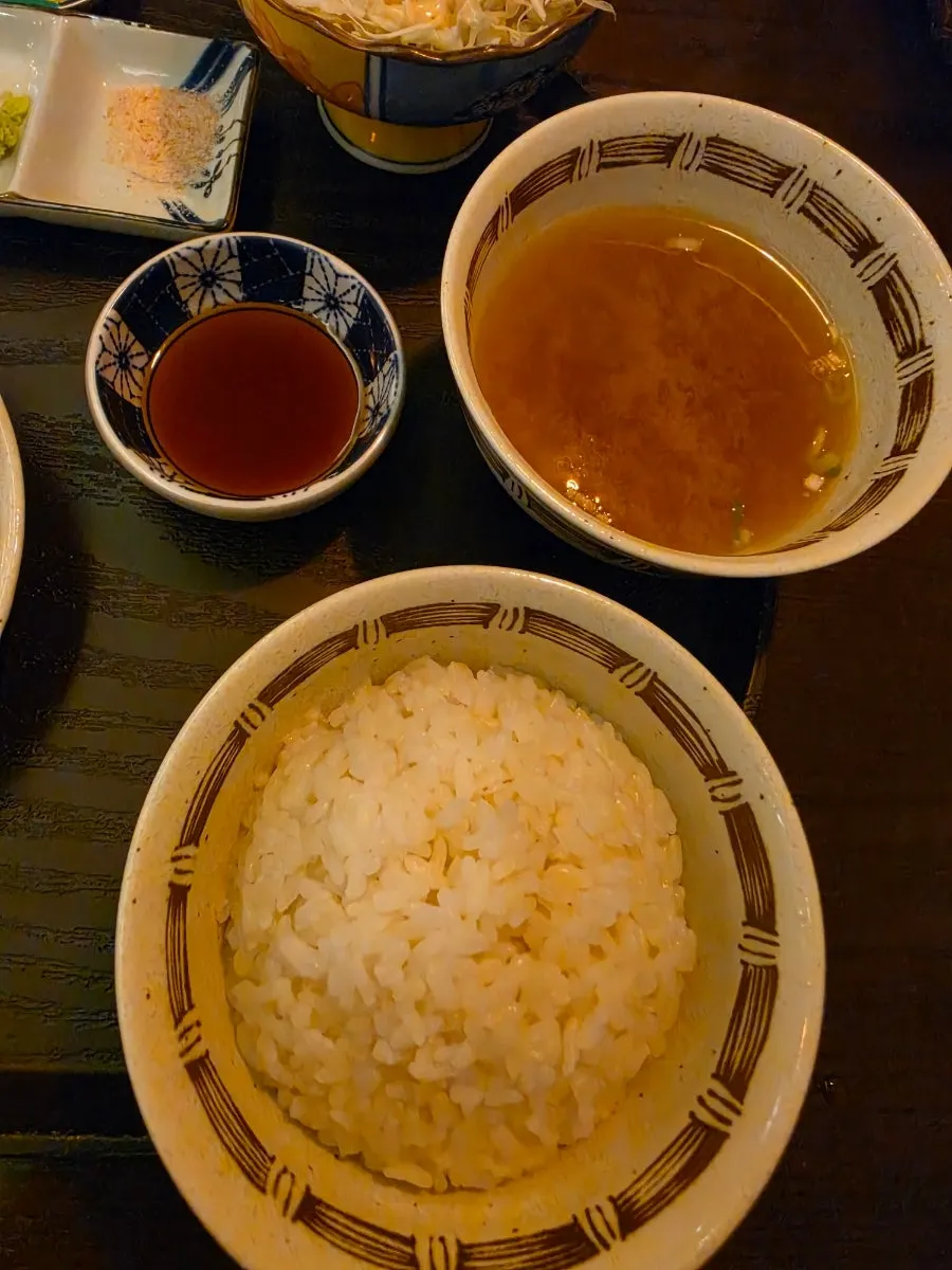 Rice and salad served alongside the gyukatsu