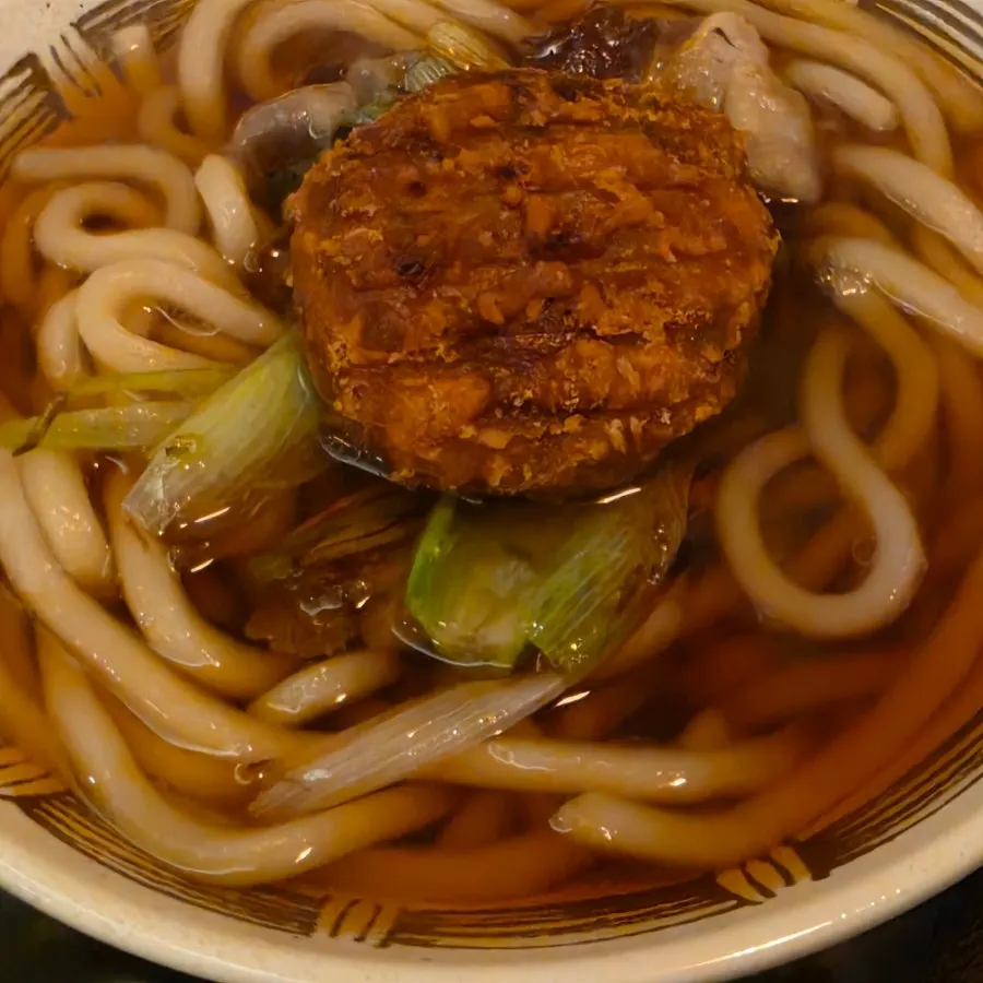 A steaming bowl of atsuatsu udon