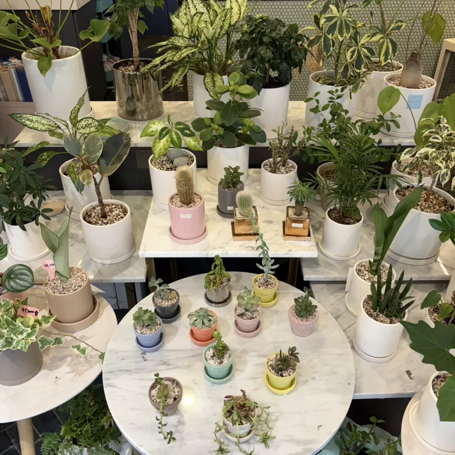 Artificial flower boxes arranged by size