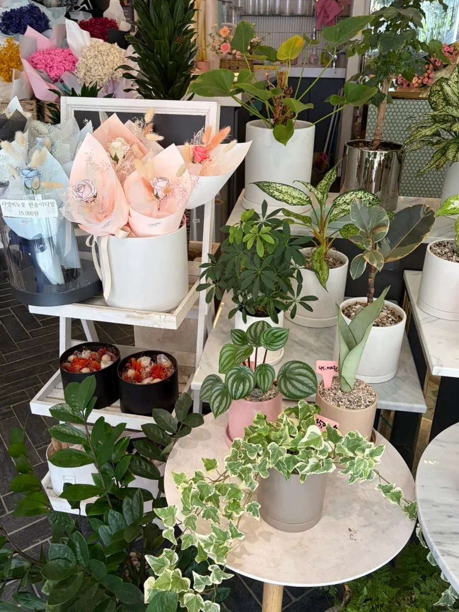 Corner of the shop with dried flowers and props
