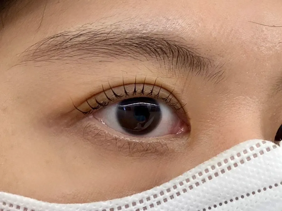 Defined eyes right after the lash lift