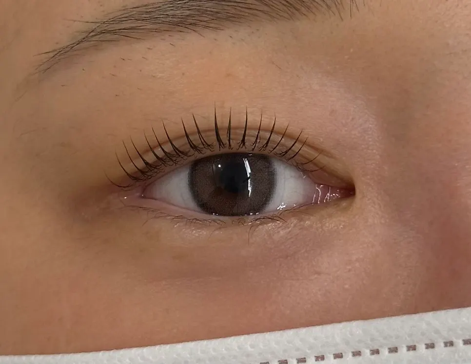 Lash lift treatment being performed while lying on the treatment bed
