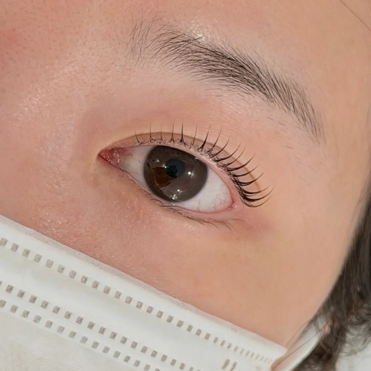 Bitnaneun Lash Wax Skin lash lift feature image