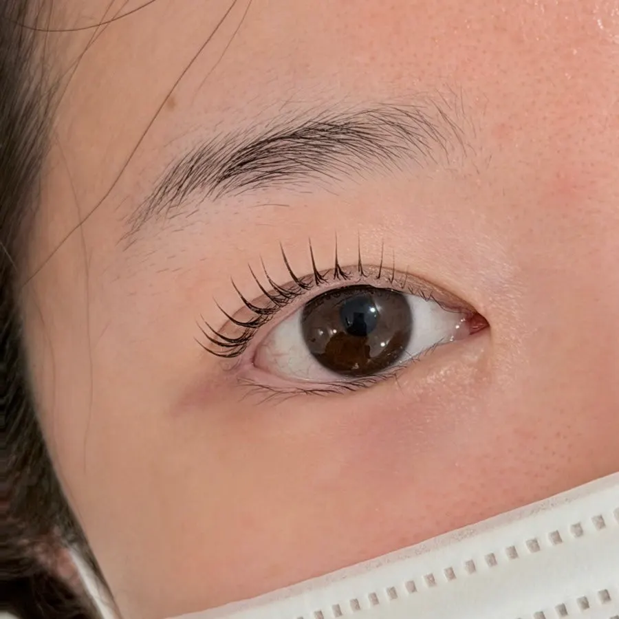 After photo showing the finished lash lift look