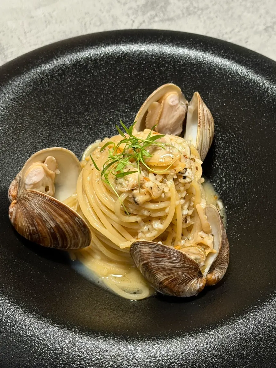 Close-up of vongole pasta noodles and clams