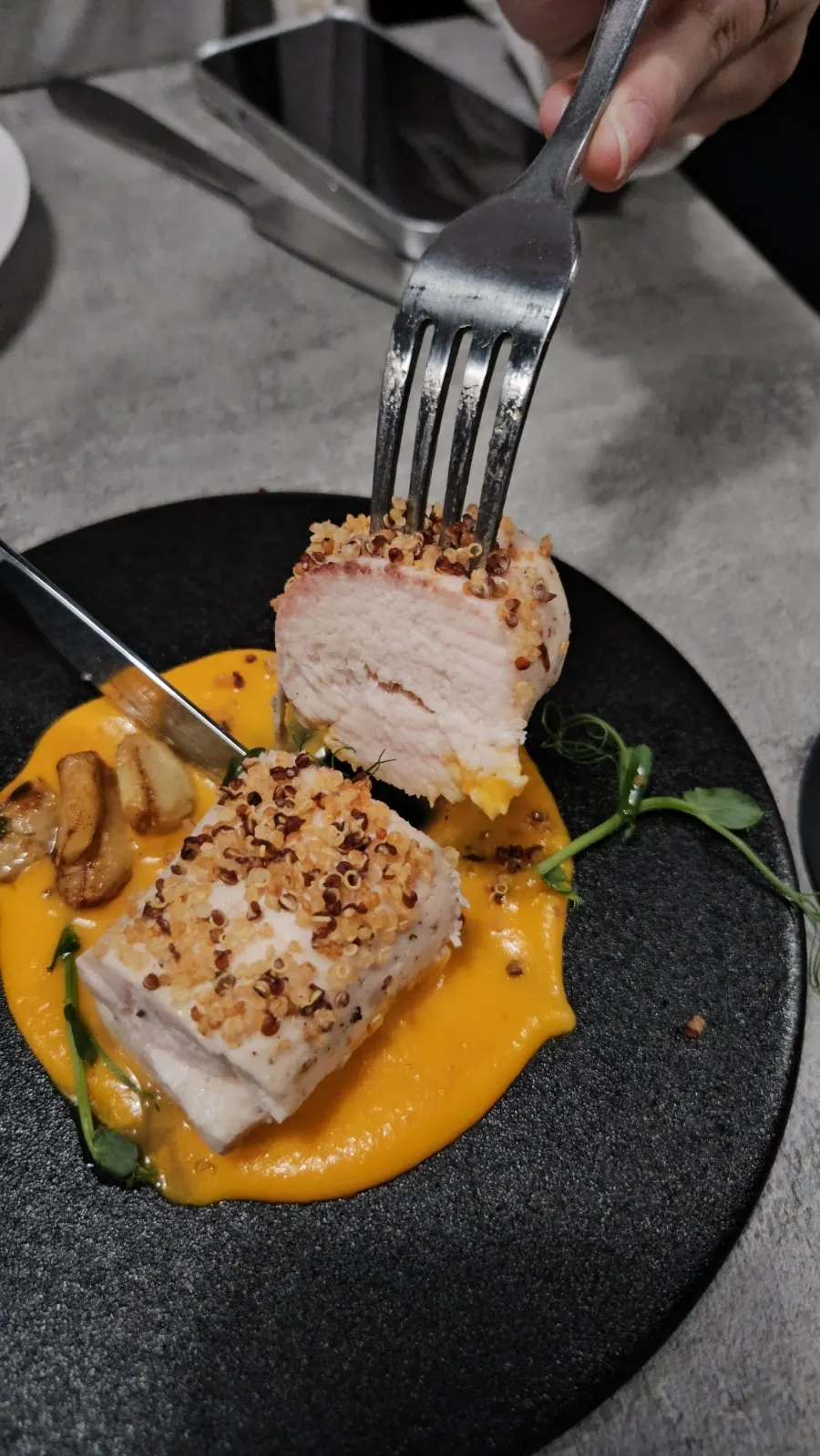 Chicken breast sous vide steak topped with carrot purée and quinoa