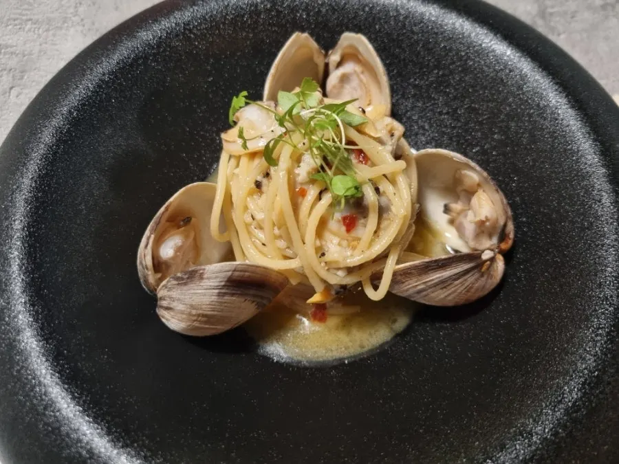 Squid ink pasta noodles lifted with a fork