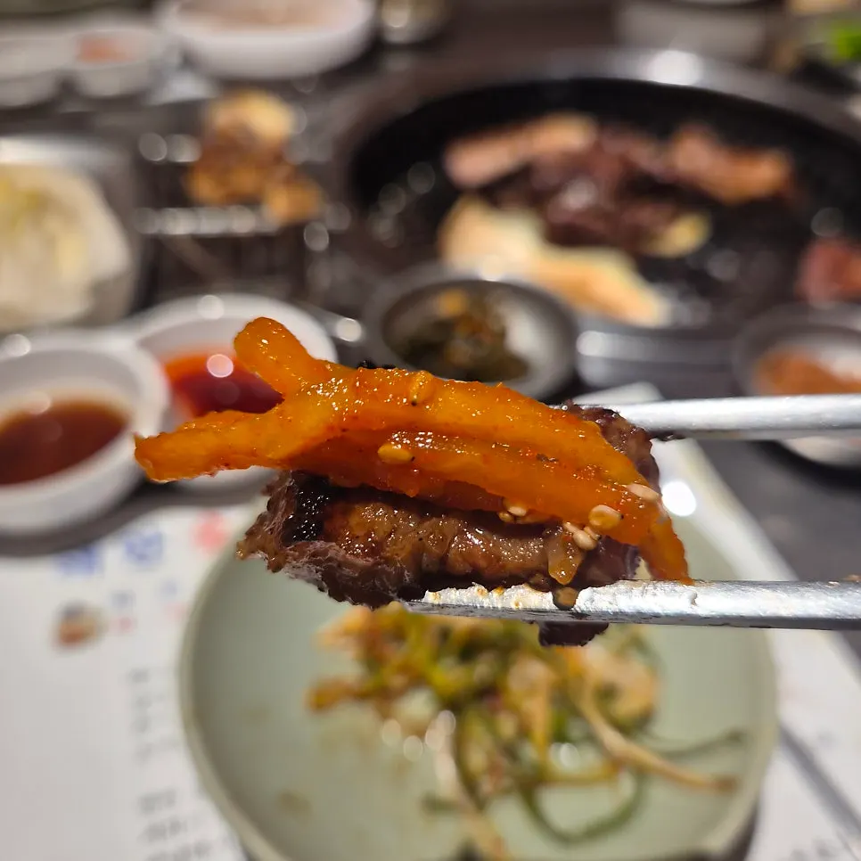A fully grilled piece of seasoned pork rib
