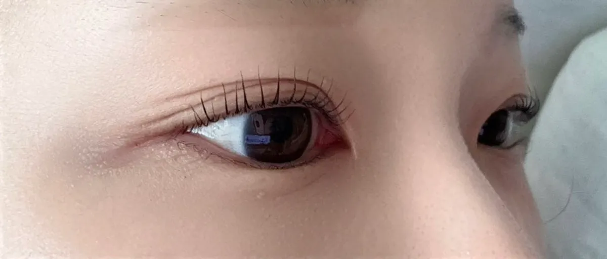 LU컬로 길어 보이는 완성된 속눈썹