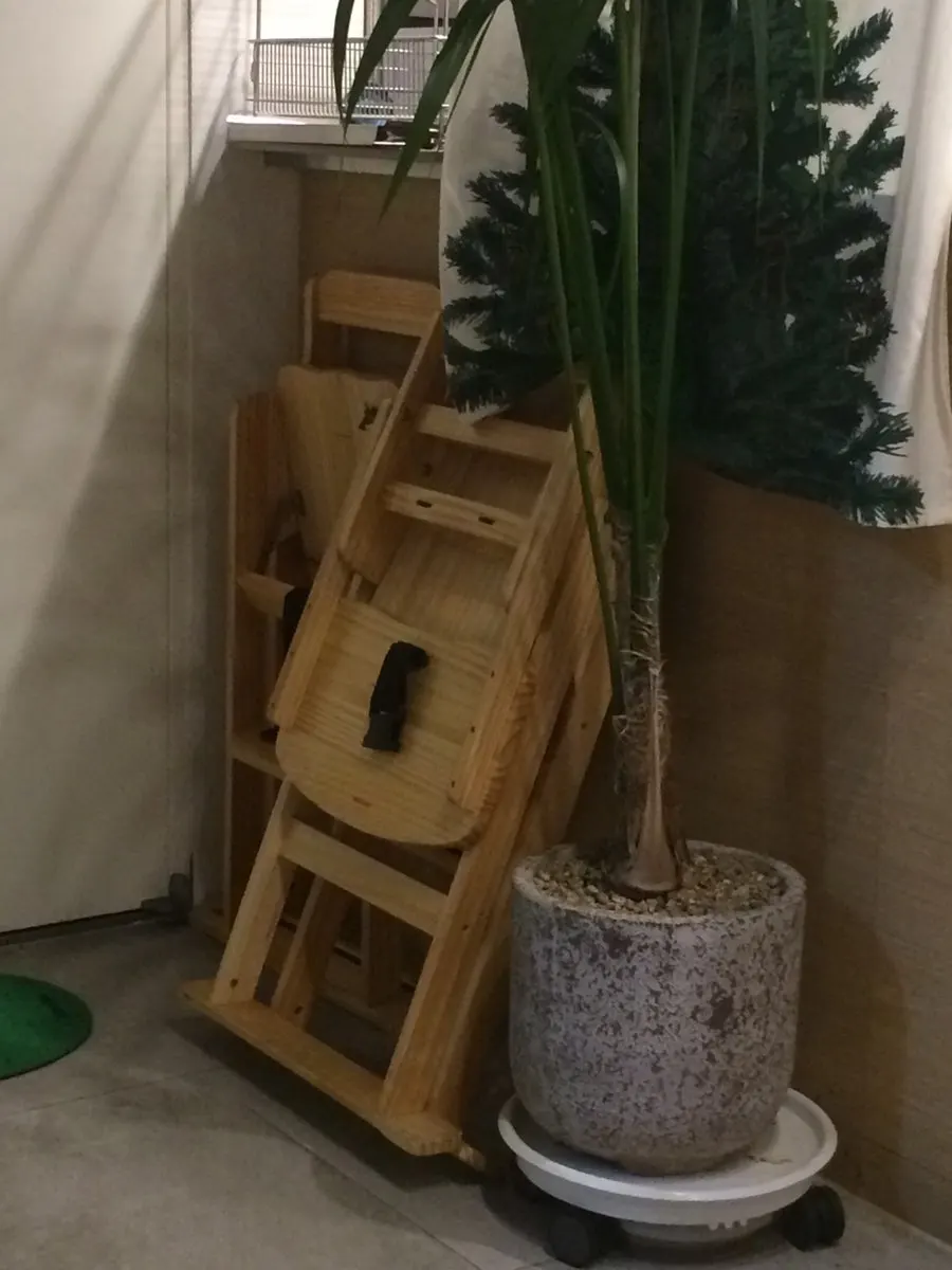 식물로 꾸민 해든 내부 인테리어