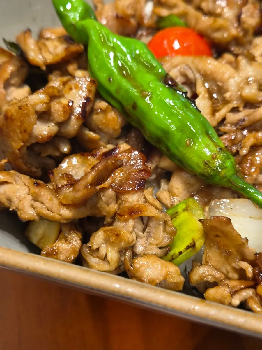 Close-up of the meat-loaded rice bowl topped with wasabi
