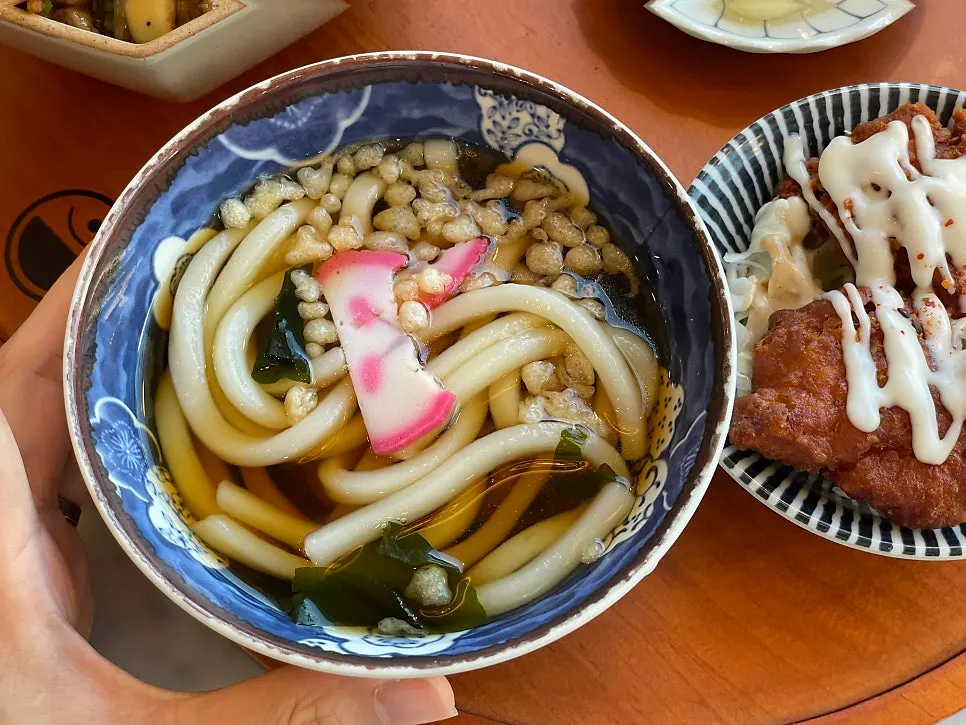Springy noodles of the mini udon