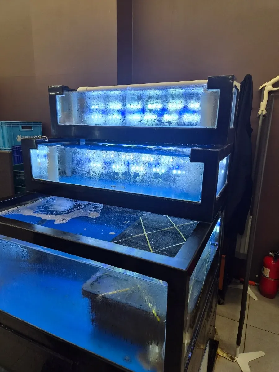Large fish tank inside the restaurant