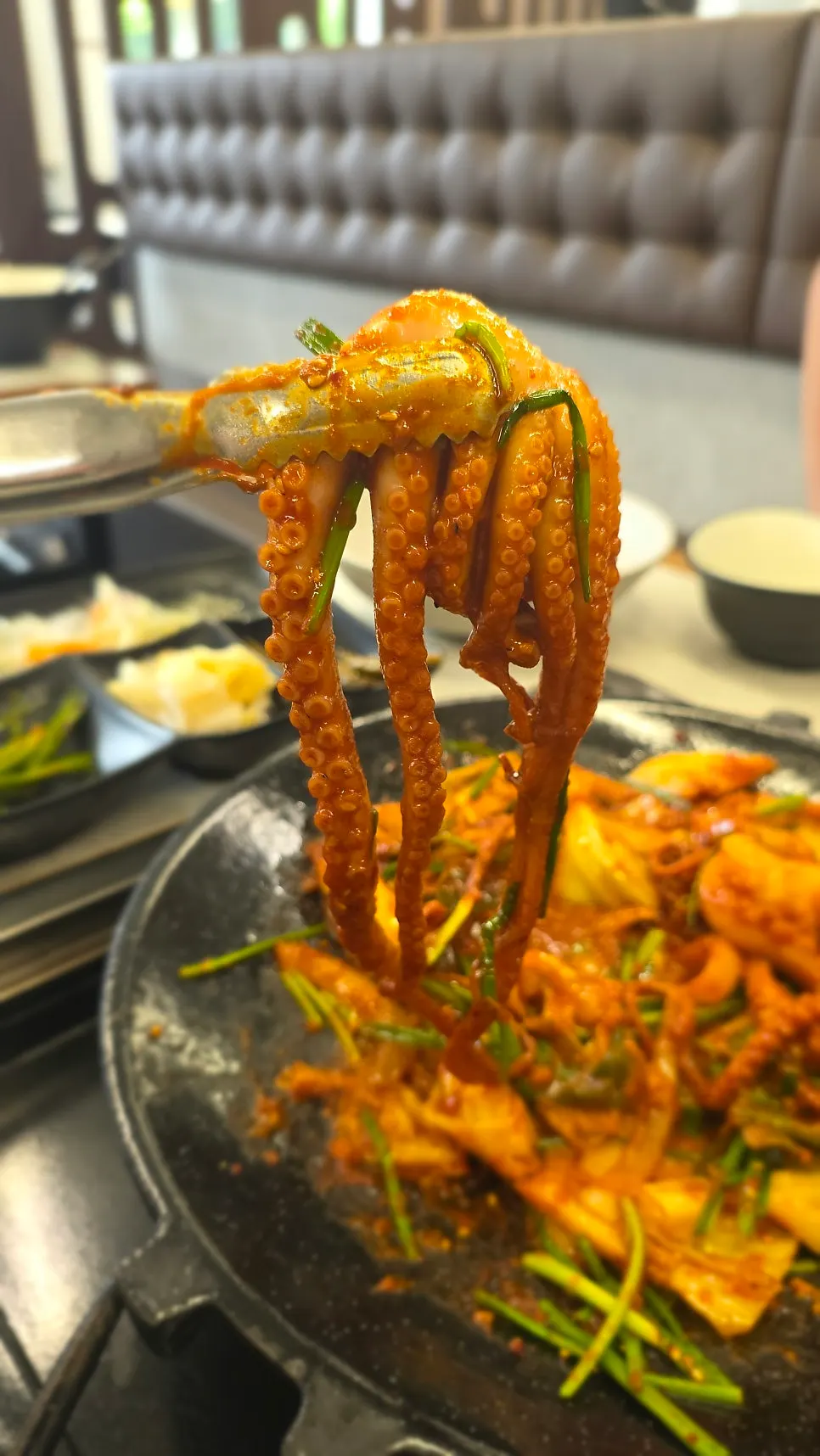 Large octopus pieces soaked deep in sauce