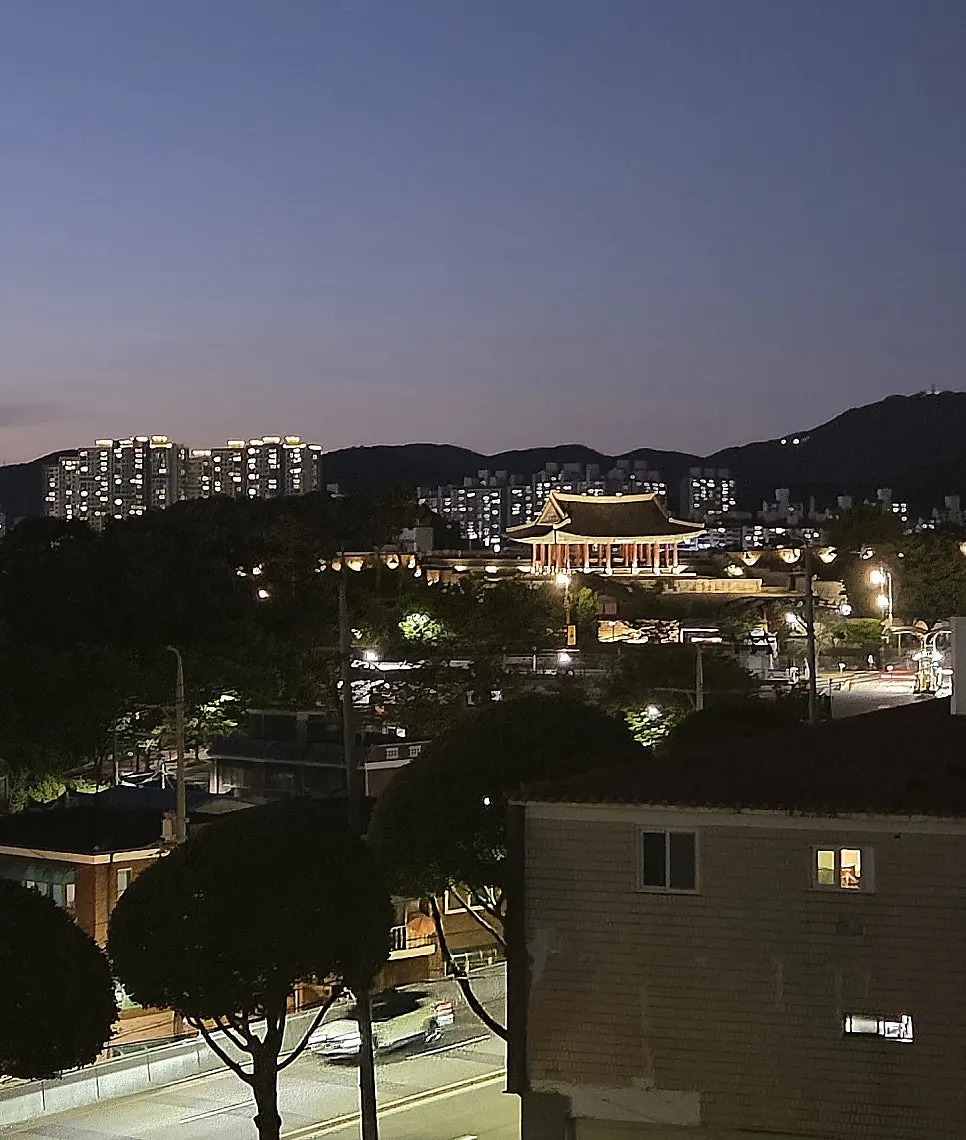 초코가 덩어리째 들어간 초코무화과 치아바타