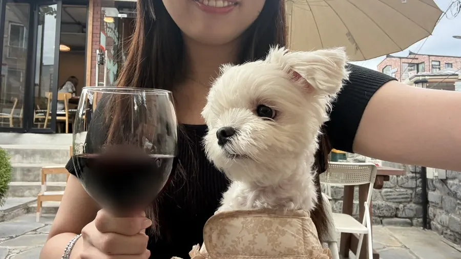 반려견 예방접종 서약서에 서명하는 모습
