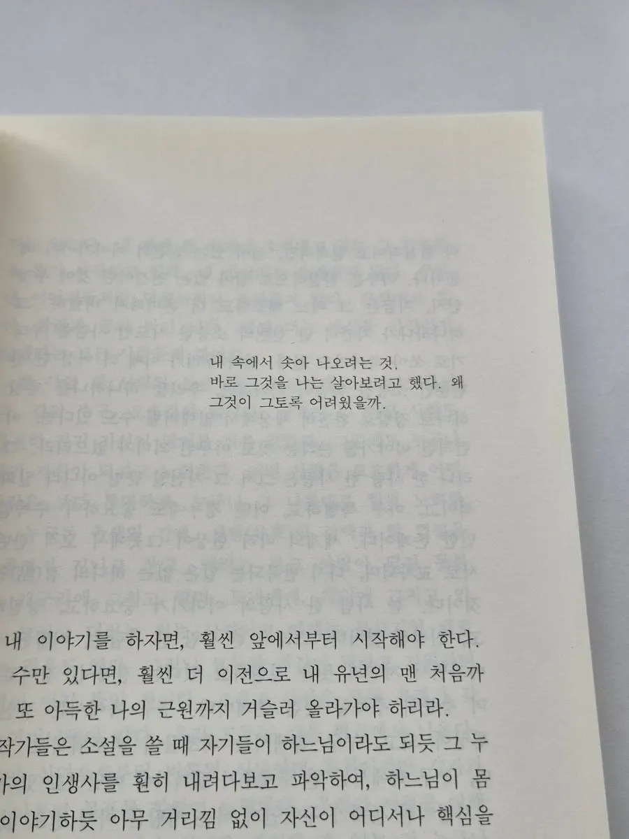 행궁동 독립서점 겸 북카페 내부