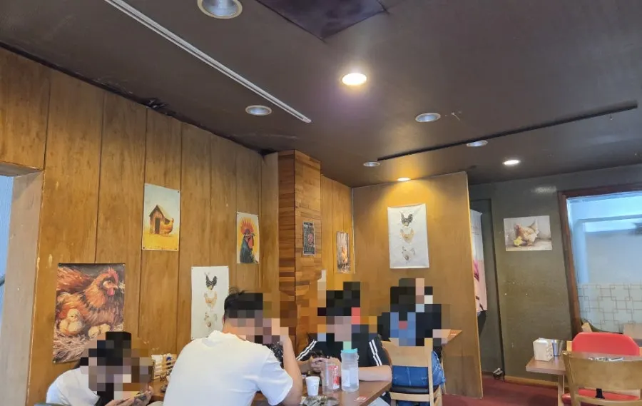 Restaurant walls and seating decorated with chicken illustrations