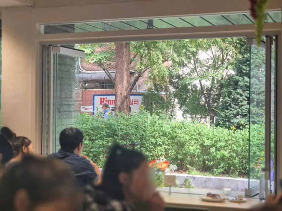 HEOD Gongdeok's window seats opened wide to show the forest trail