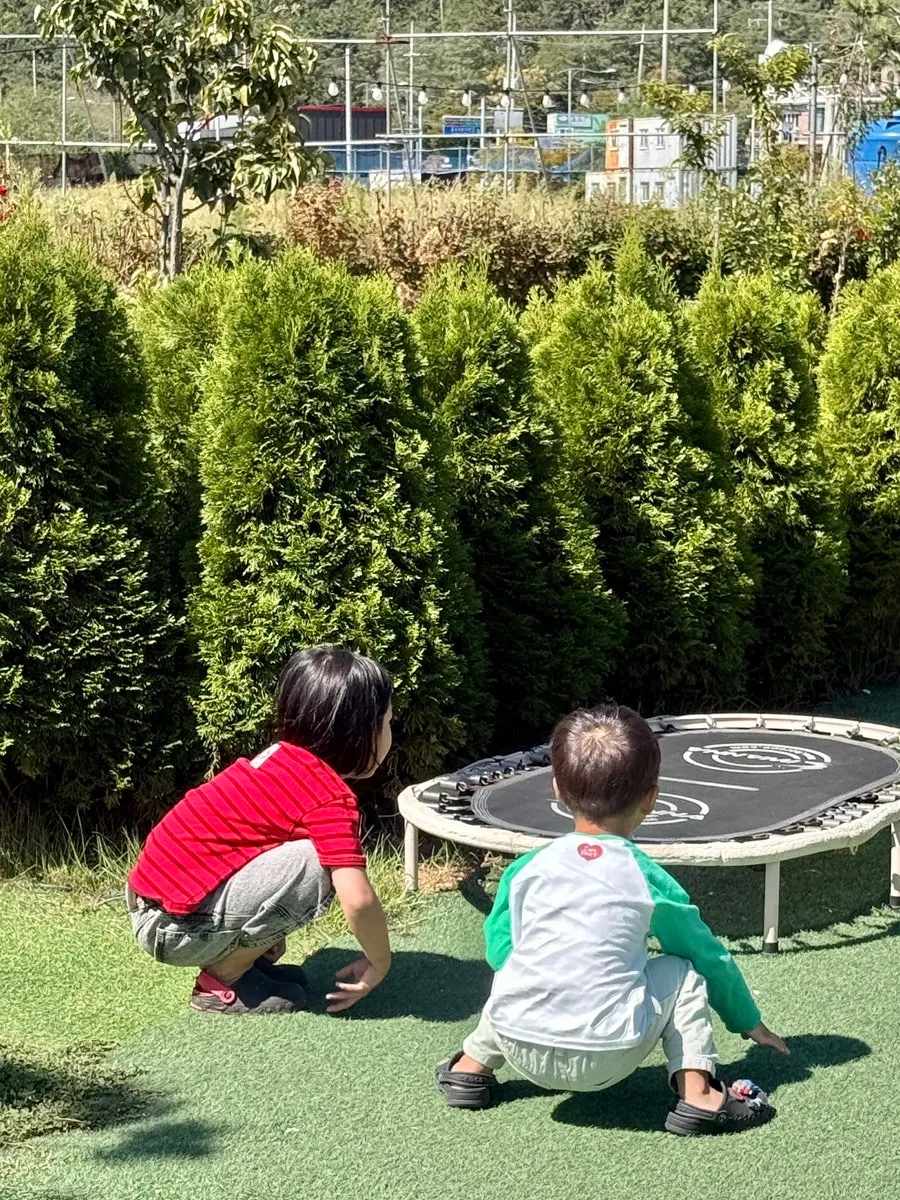 해상궁 뒤쪽 잔디 정원
