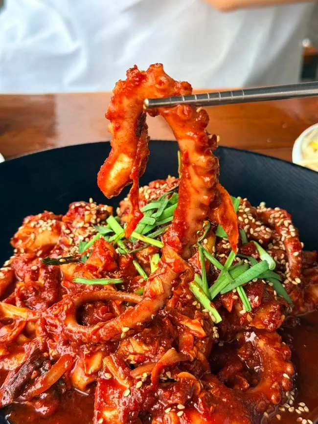 실한 낙지 다리 클로즈업