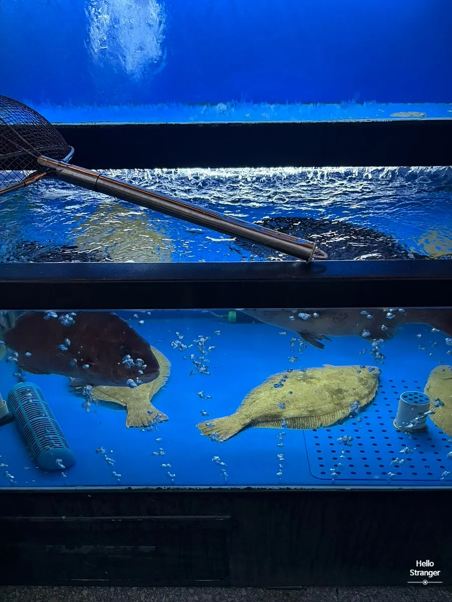 Tangki ikan hidup yang bersih di pintu masuk