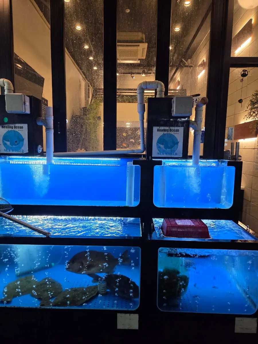 Clean live fish tank in front of Haeseon's entrance