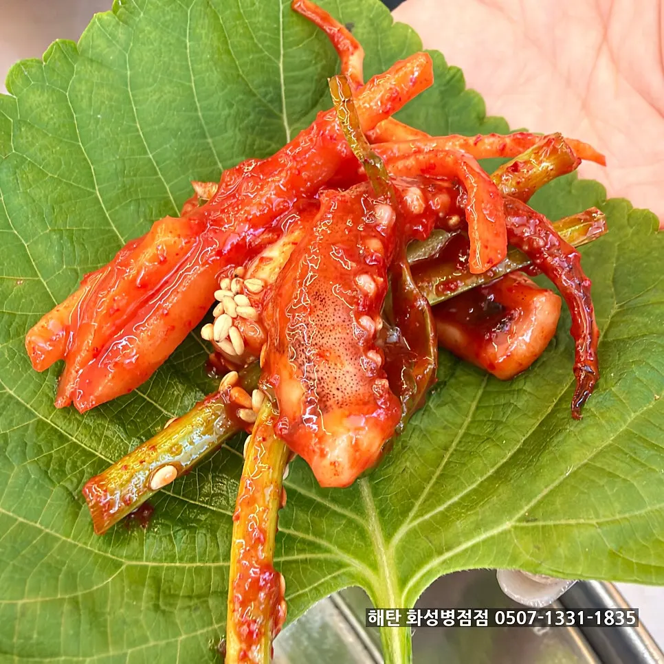A wrap of squid vinegar salad on a perilla leaf
