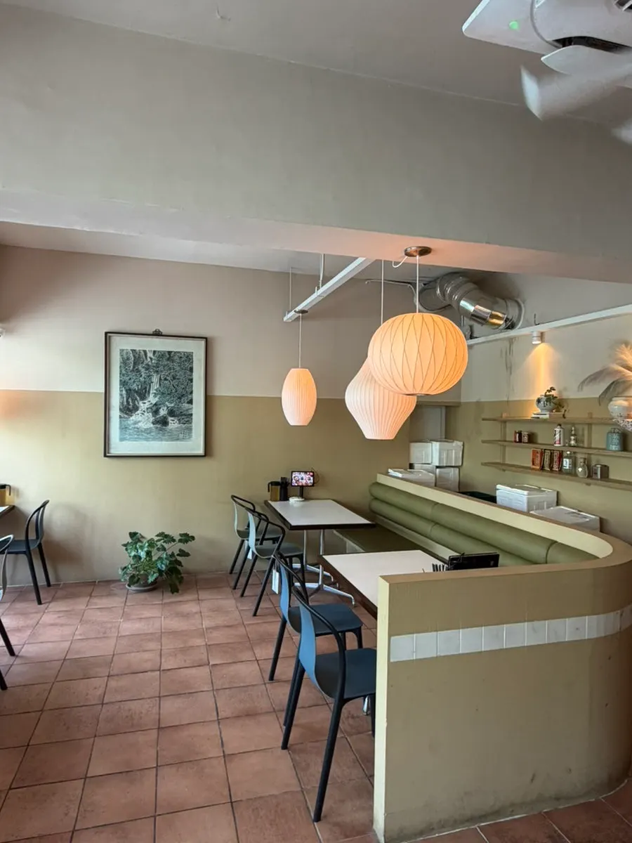 Ceiling pendant lights and table layout