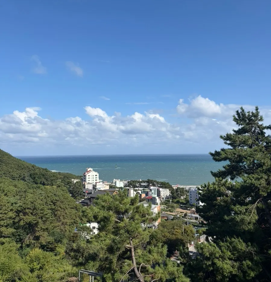 Clear sky and sea on the drive to Cheongsapo after the meal