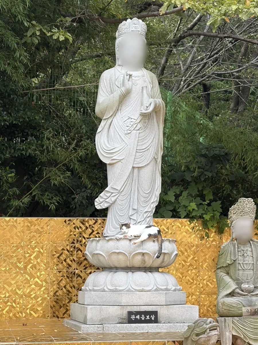 A cat sitting on top of the Avalokiteshvara statue