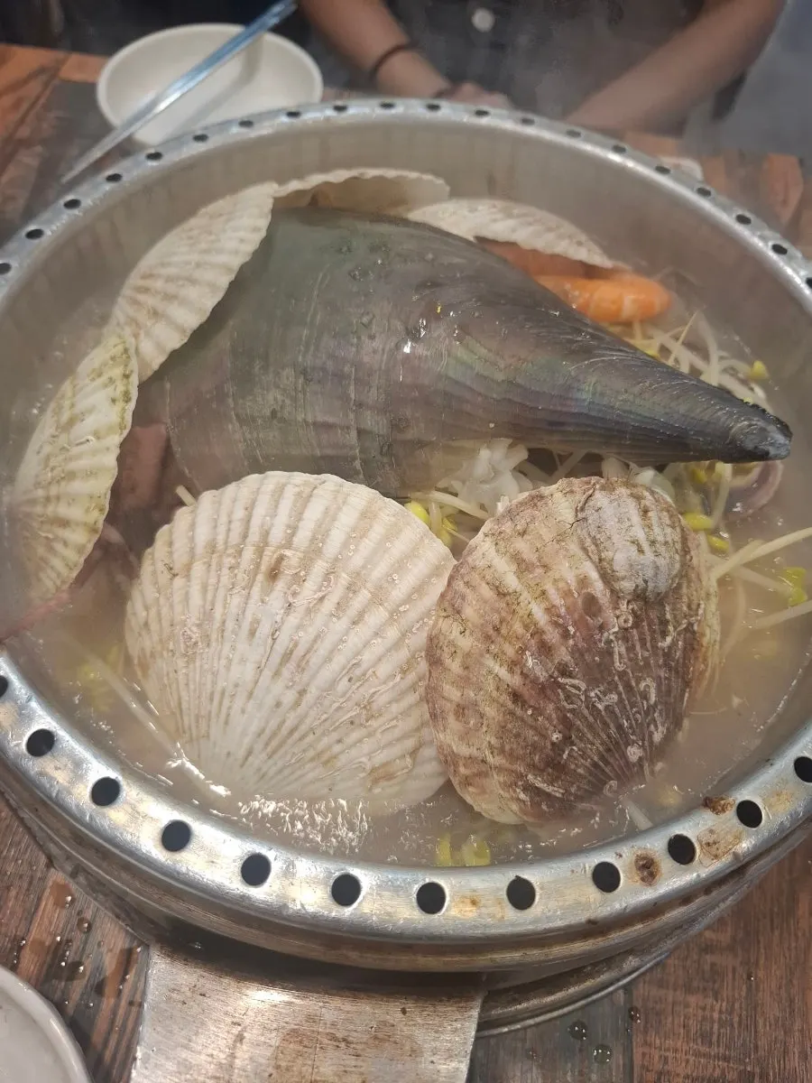 Pot of clam hot pot filled with scallops and clams