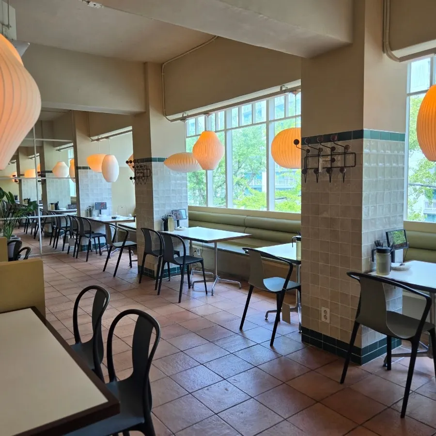 Hall table with trees visible through the window