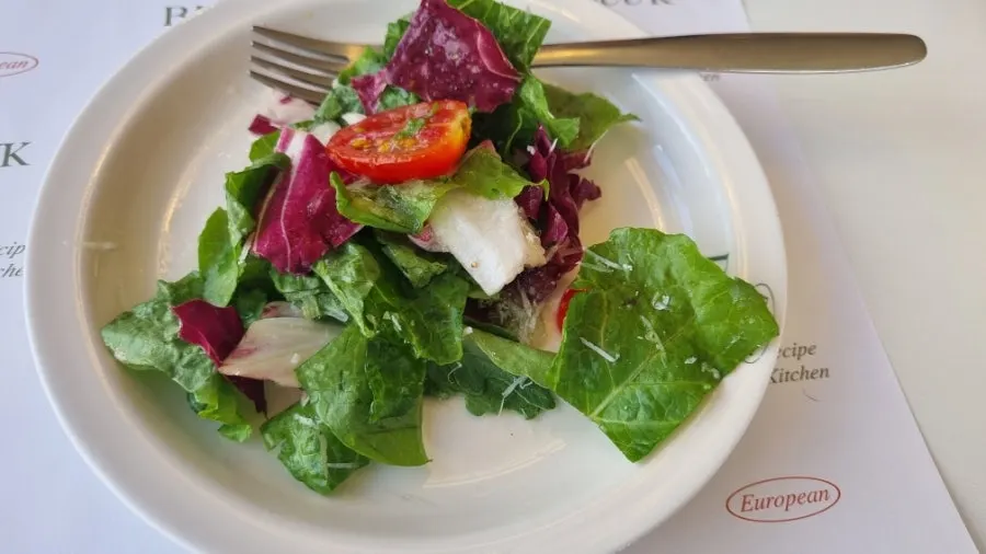 Close-up of fresh vegetables in the garden salad