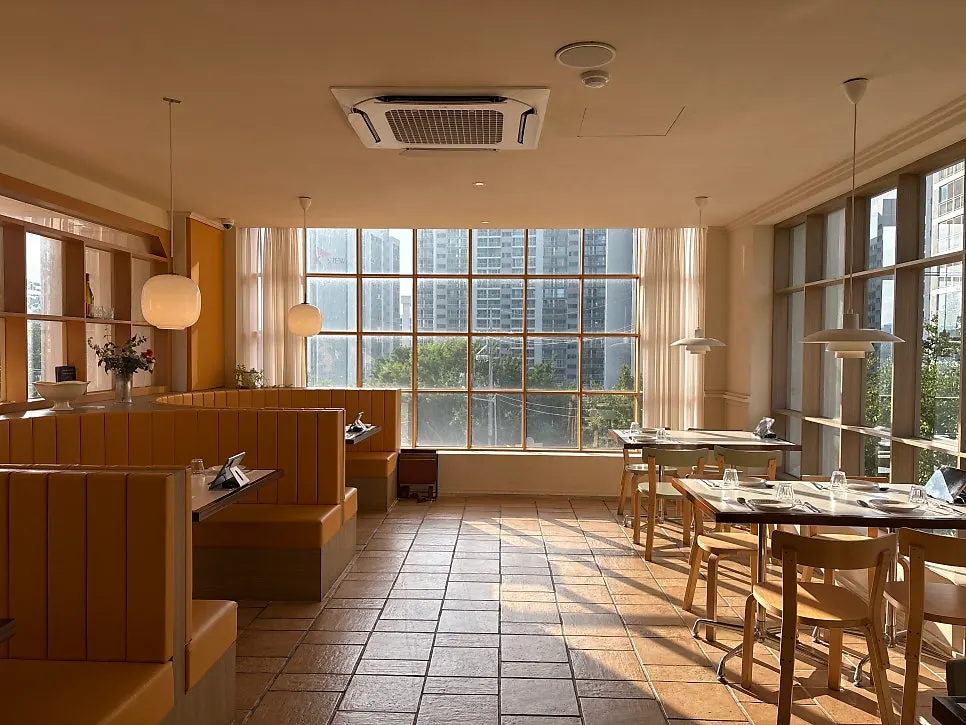 Late afternoon sunlight coming through the window during the meal