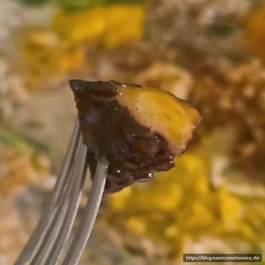 Octopus steak with sauce