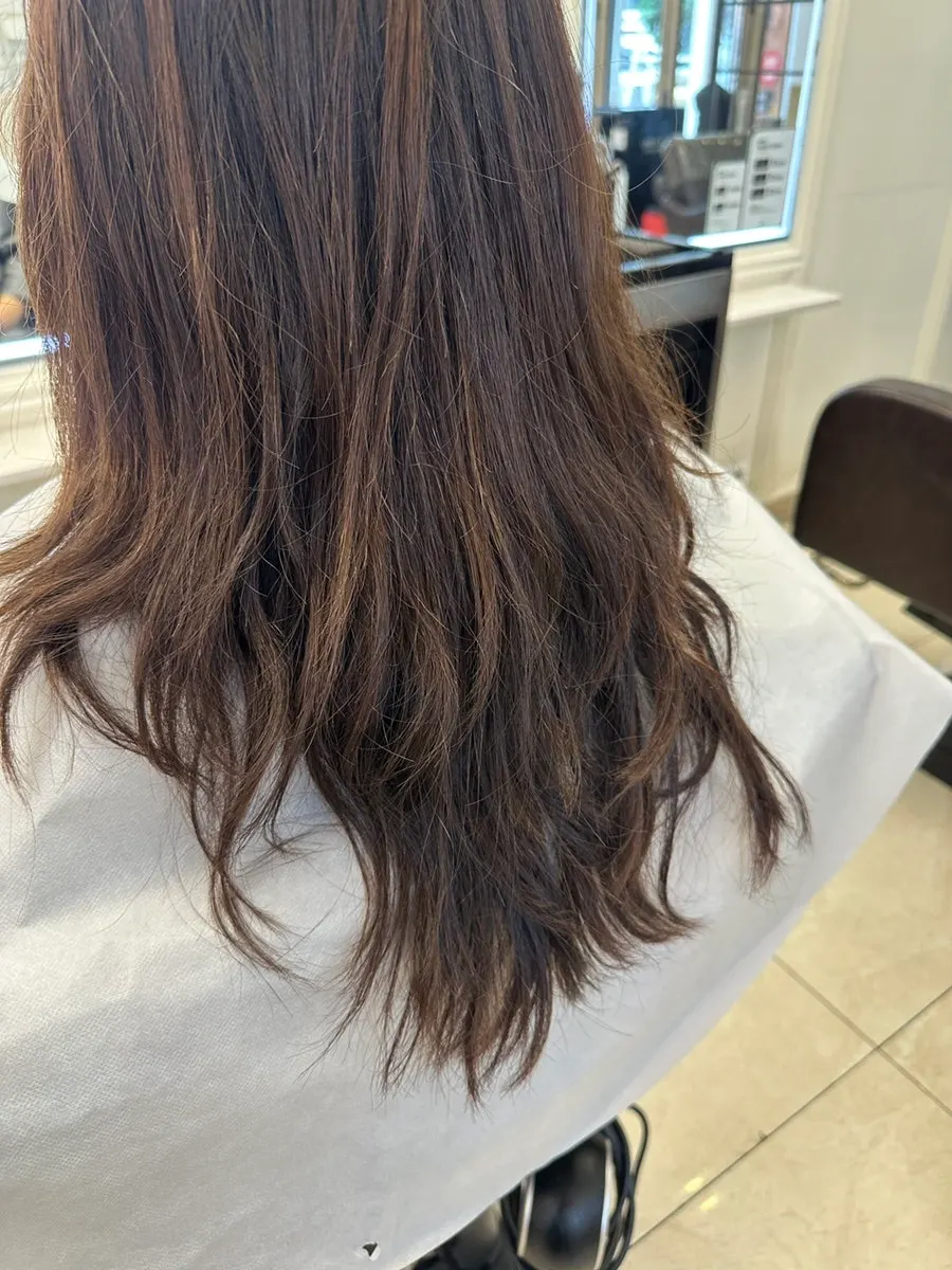 Dry, damaged long hair before the clinic