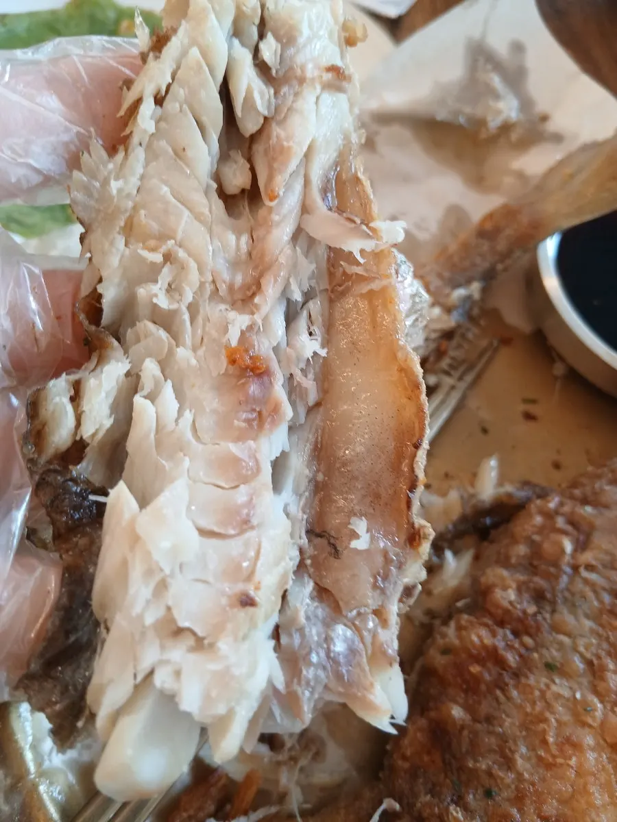 살이 쏙 발라지는 가자미 구이