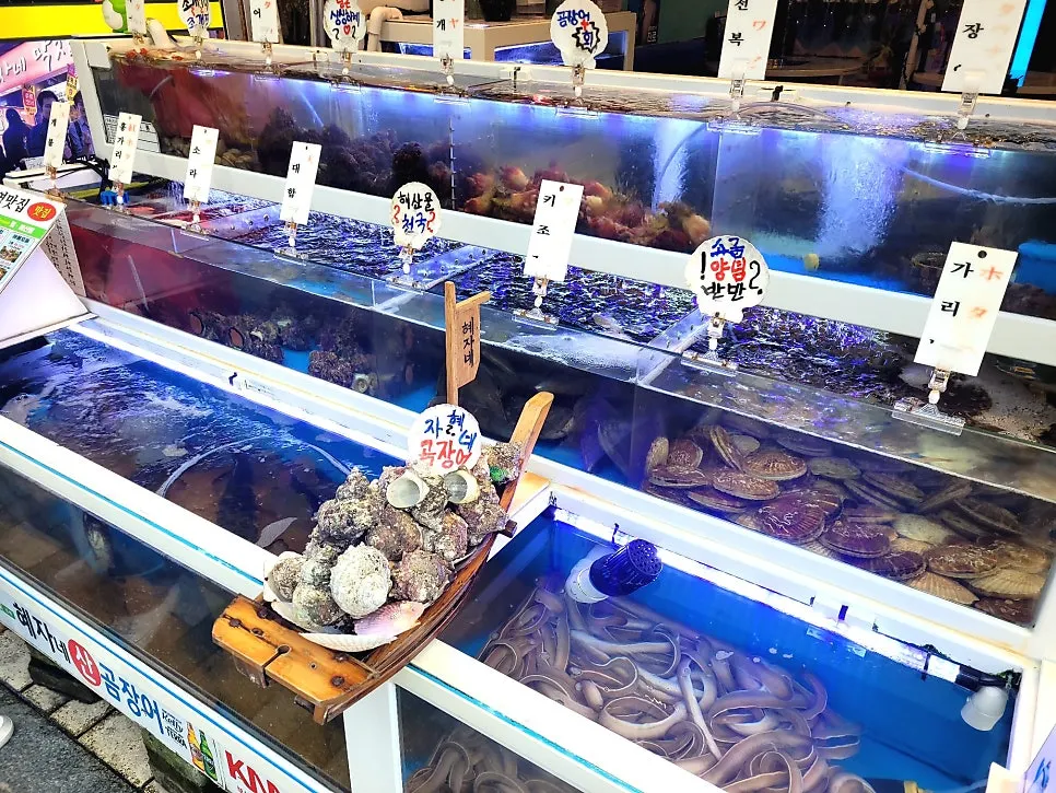Live seafood displayed in the tanks