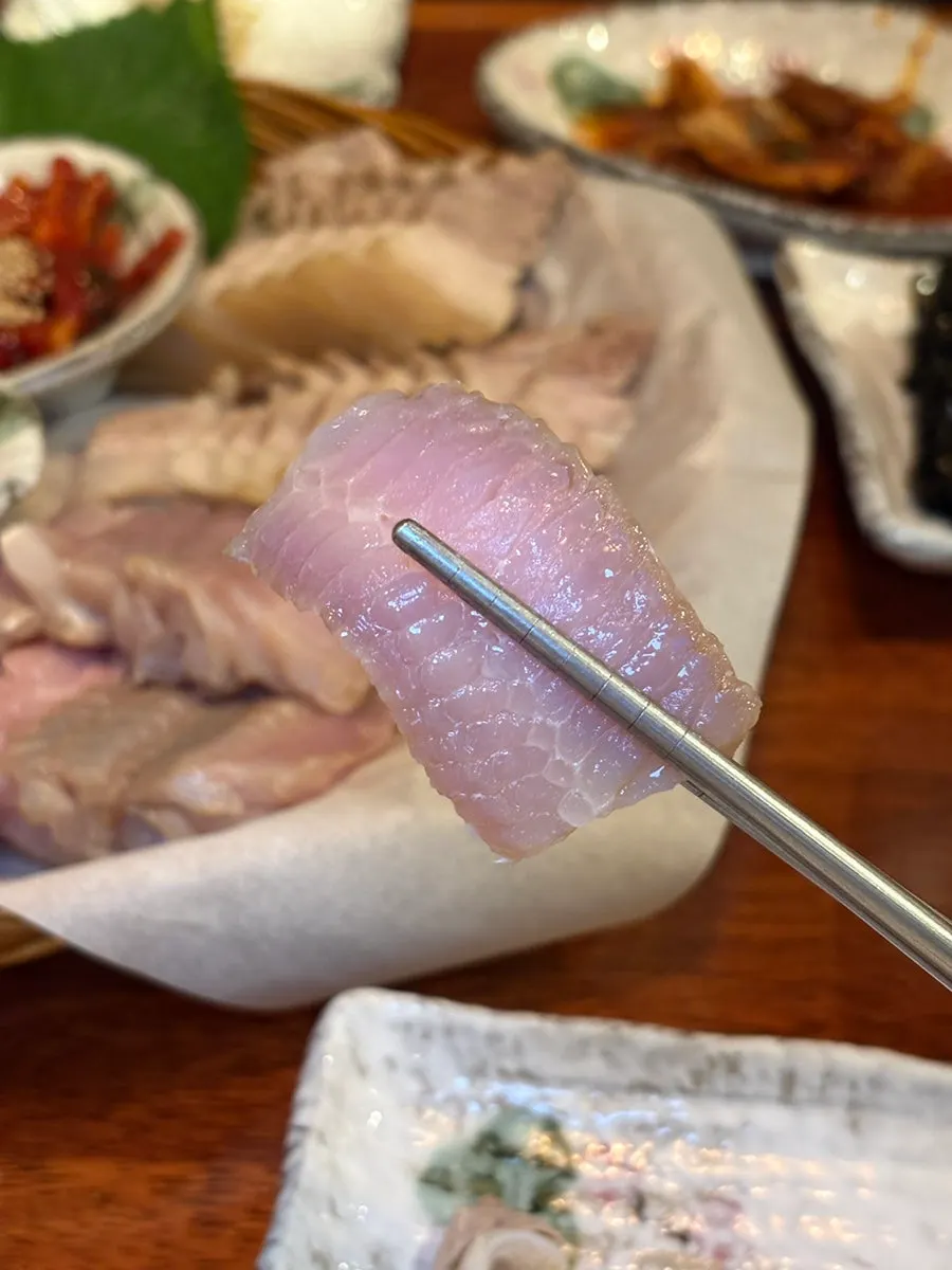 Close-up of a piece of skate ray