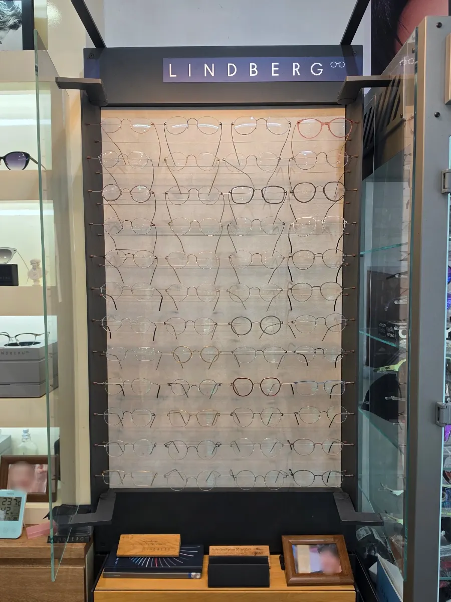 Row of Lindberg frames on display