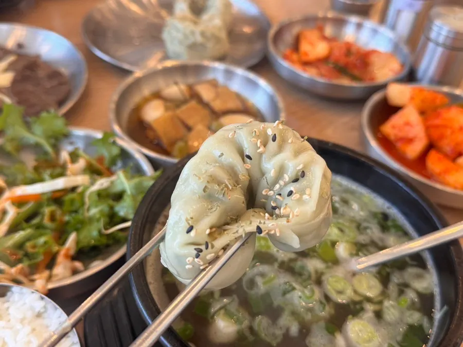 Plate of mandu from the gomtang restaurant's mandu set