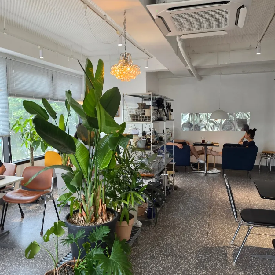 Tiny Dot's interior filled with plants