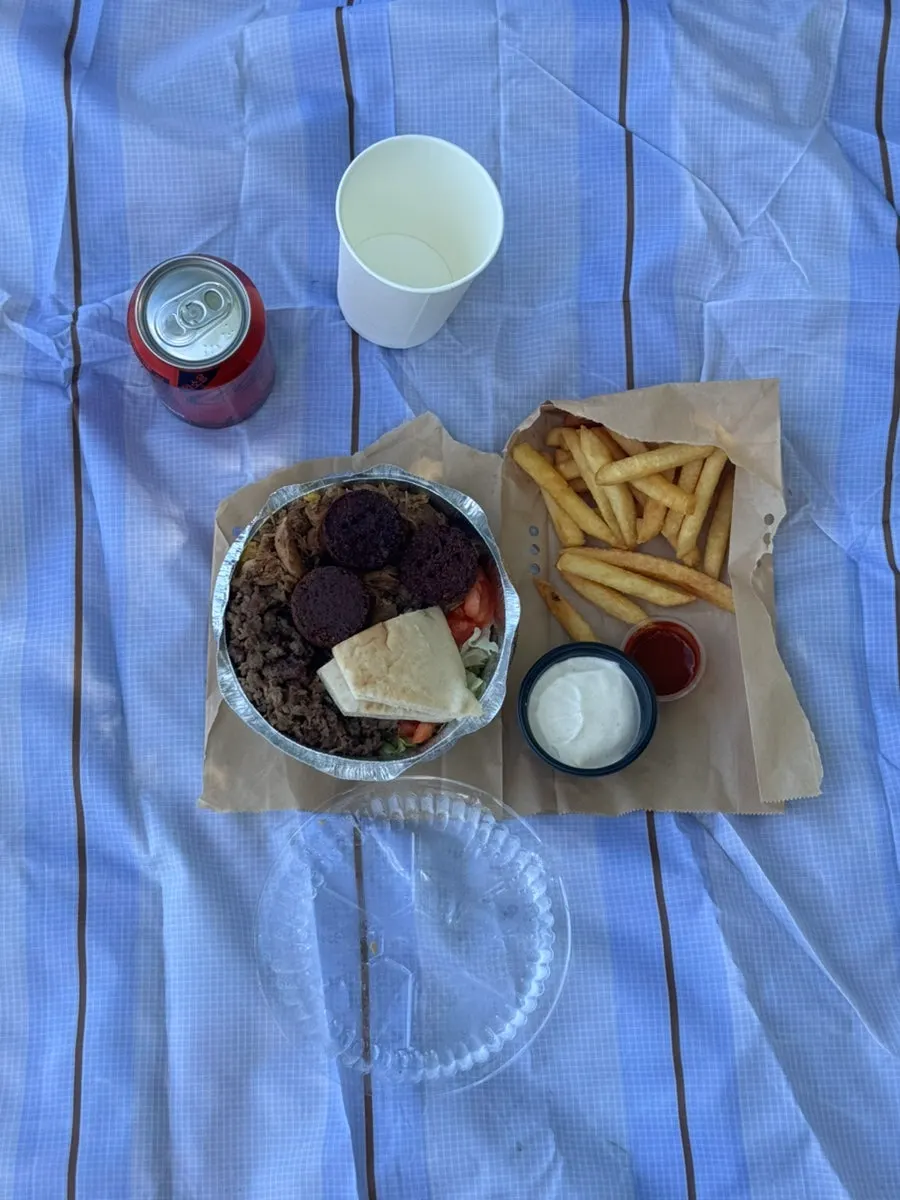 Combo Platter served with pita bread and vegetables