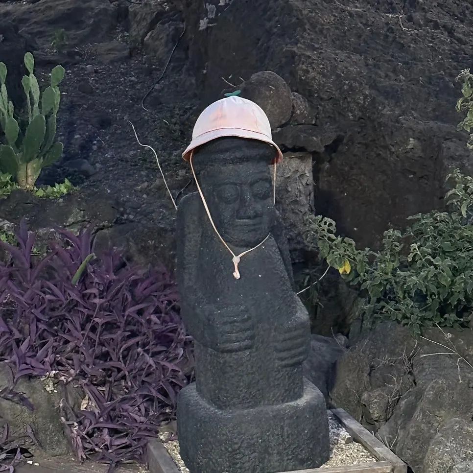 Pet-friendly entrance at Jeju Samchun