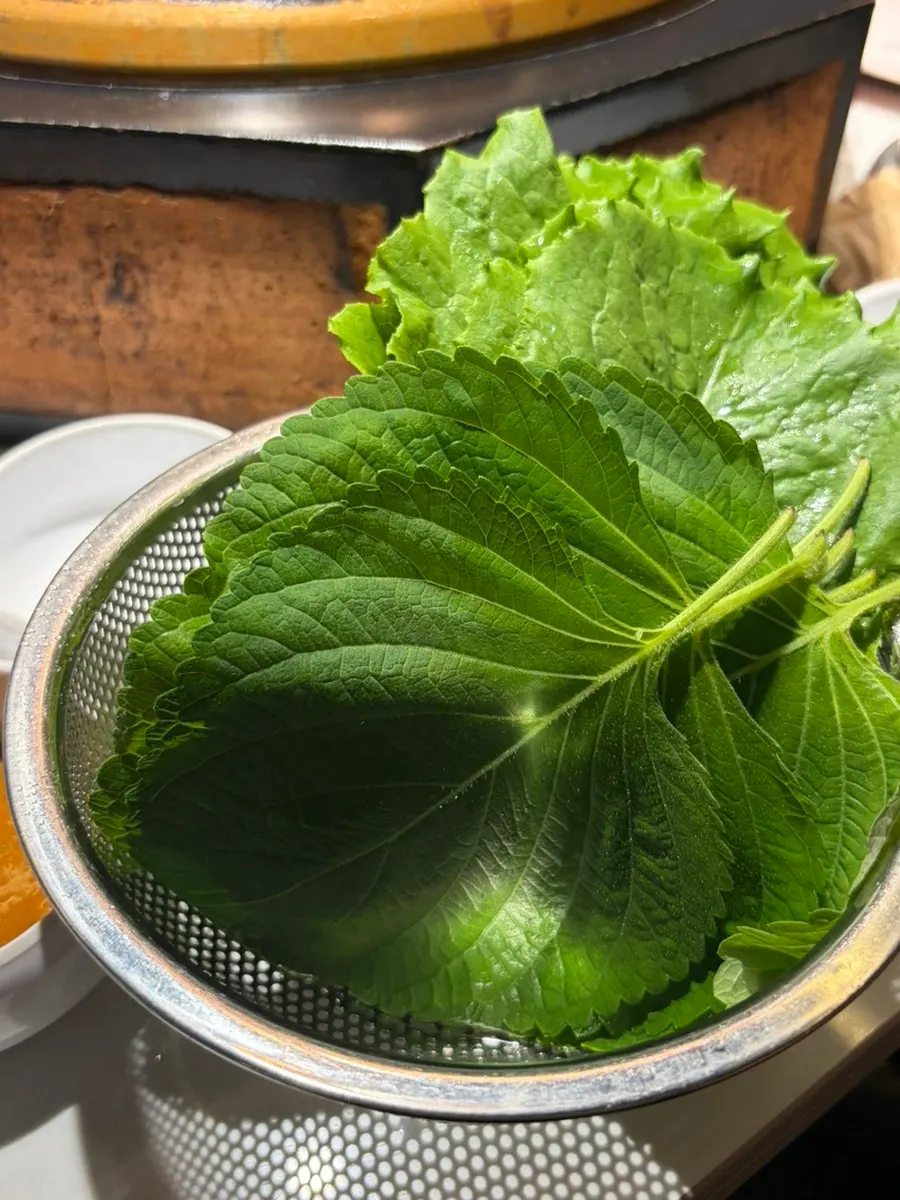 放在电磁炉上的一碗骨汤