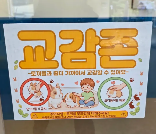 토끼 교감체험을 준비하는 모습