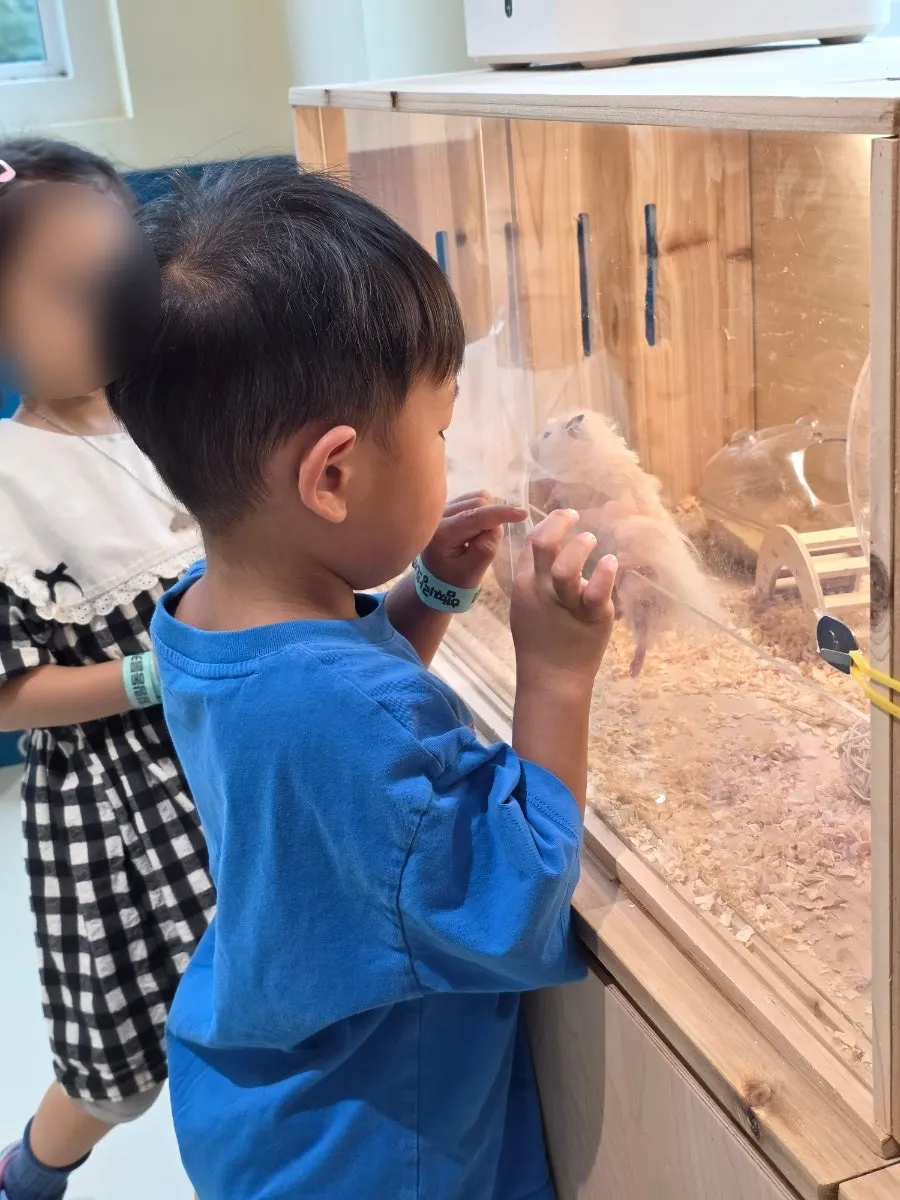 A parrot in the indoor observation zone