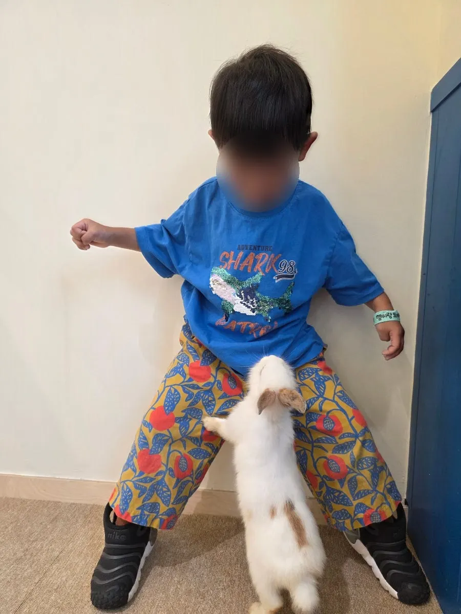 A friendly rabbit following someone inside the bonding zone